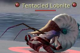 Tentacled Lobnite